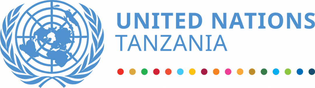 UNITED NATION TANZANIA